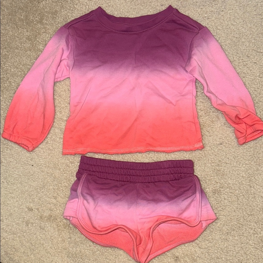Gap Pink and Purple Ombre Long Sleeve Set